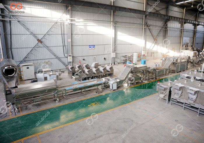 Gelgoog French Fries Production Line